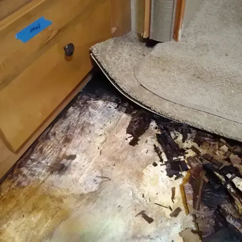 Wood Floor Water Damage in Blackwell, OK